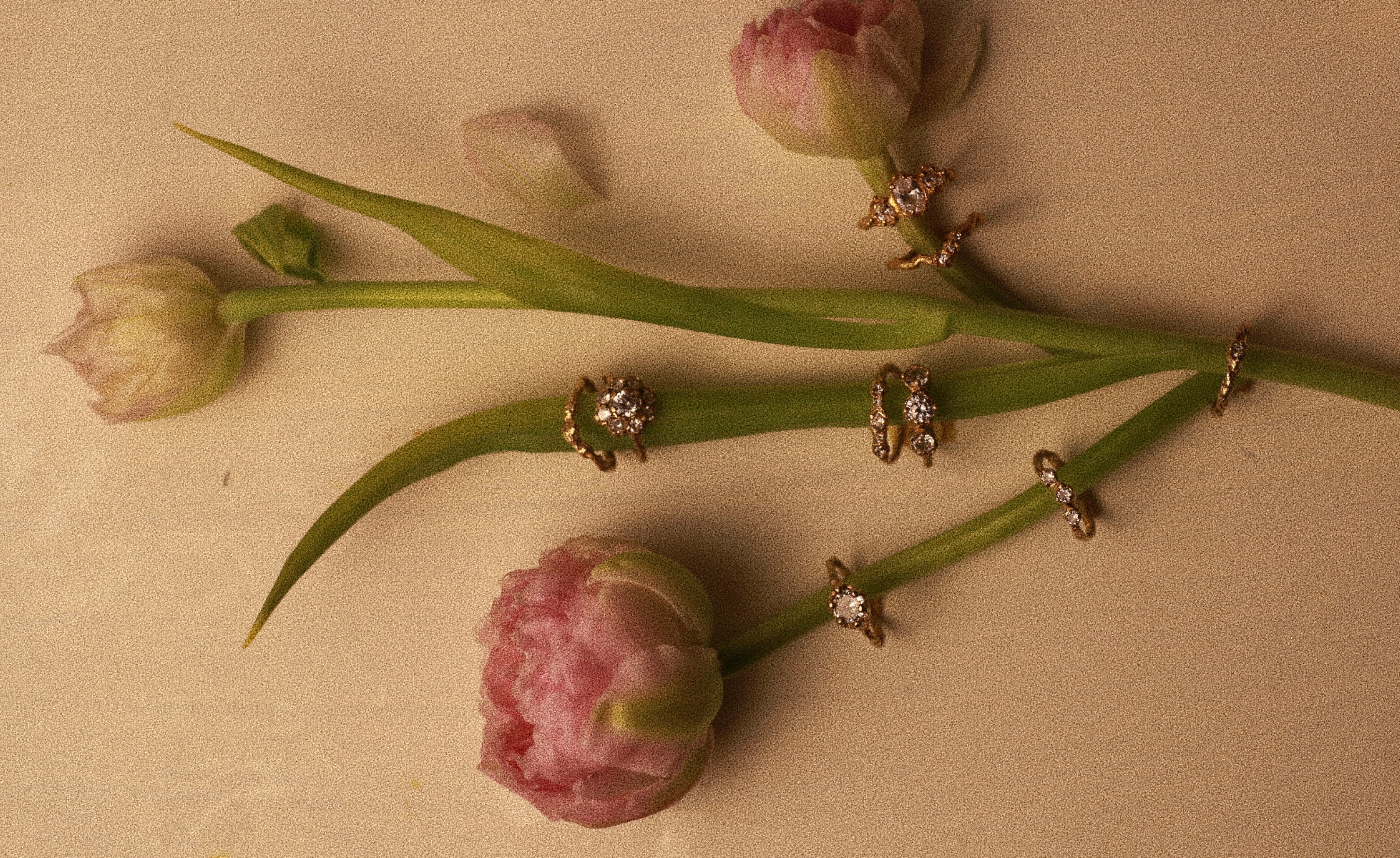 Aurea Flora