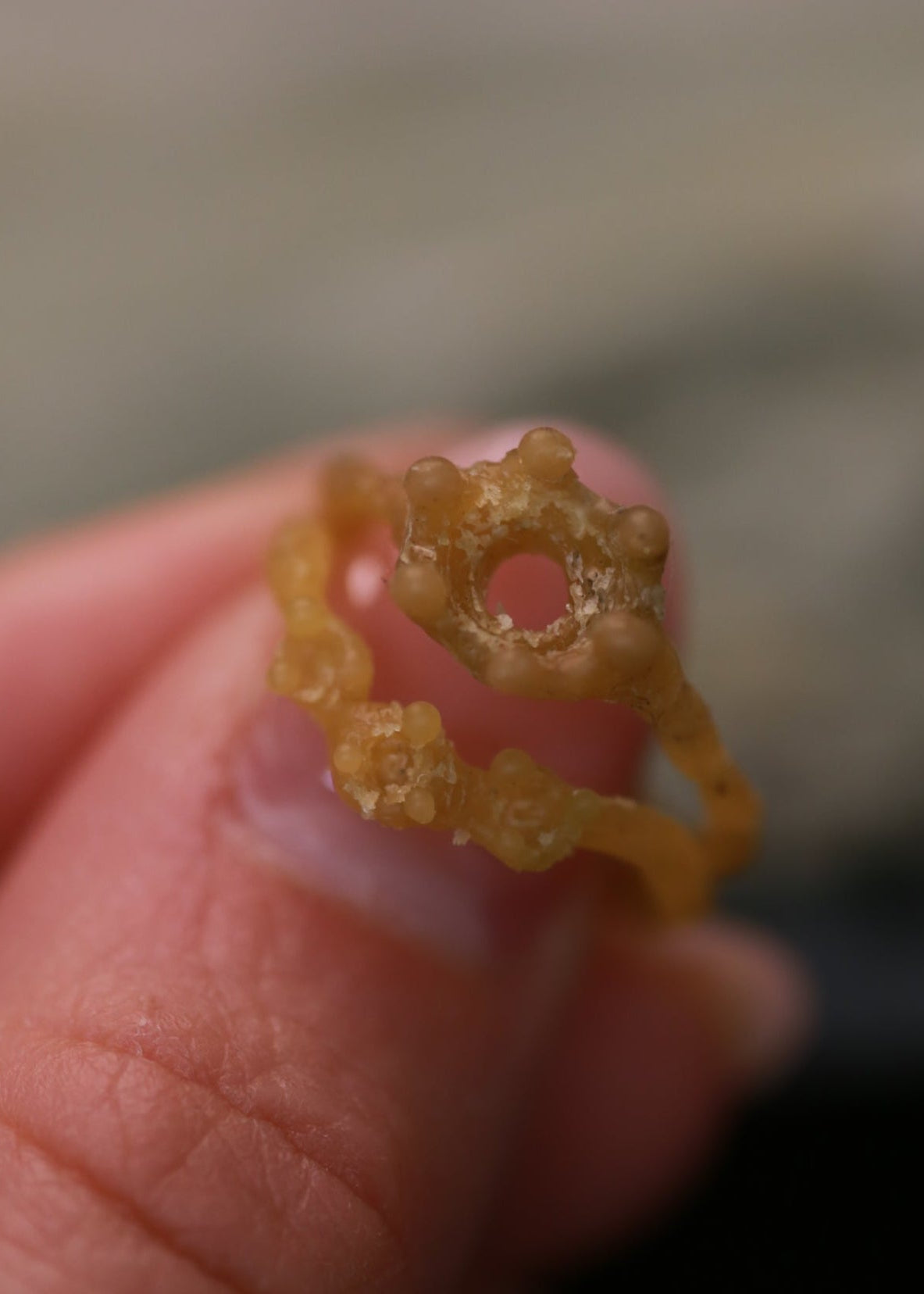 The Arc of Three Lights