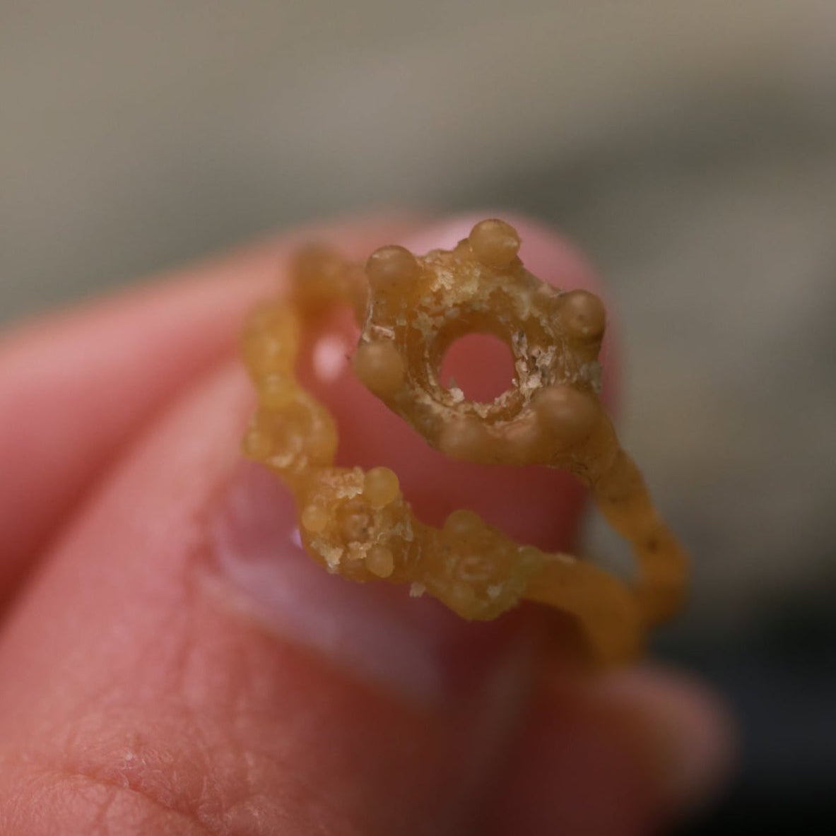 The Arc of Three Lights