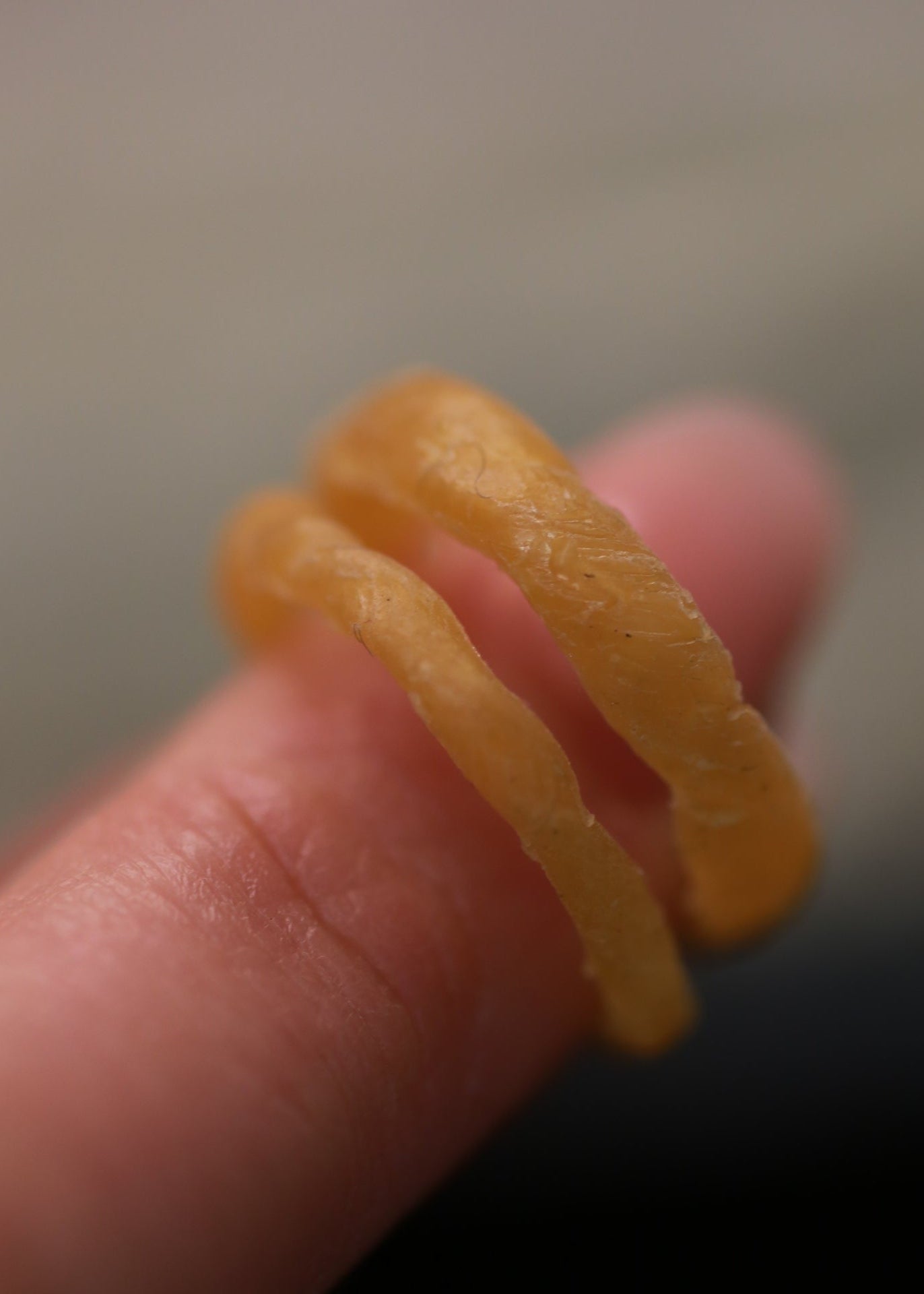 The Sun-Warmed Band - 3mm