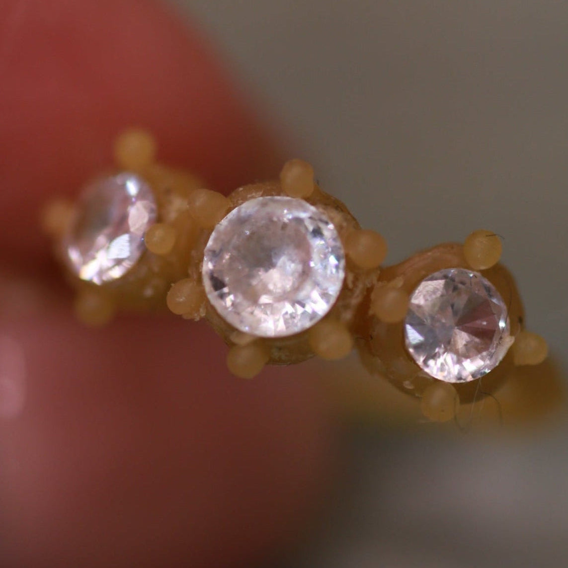 The Roman Trilogy Ring