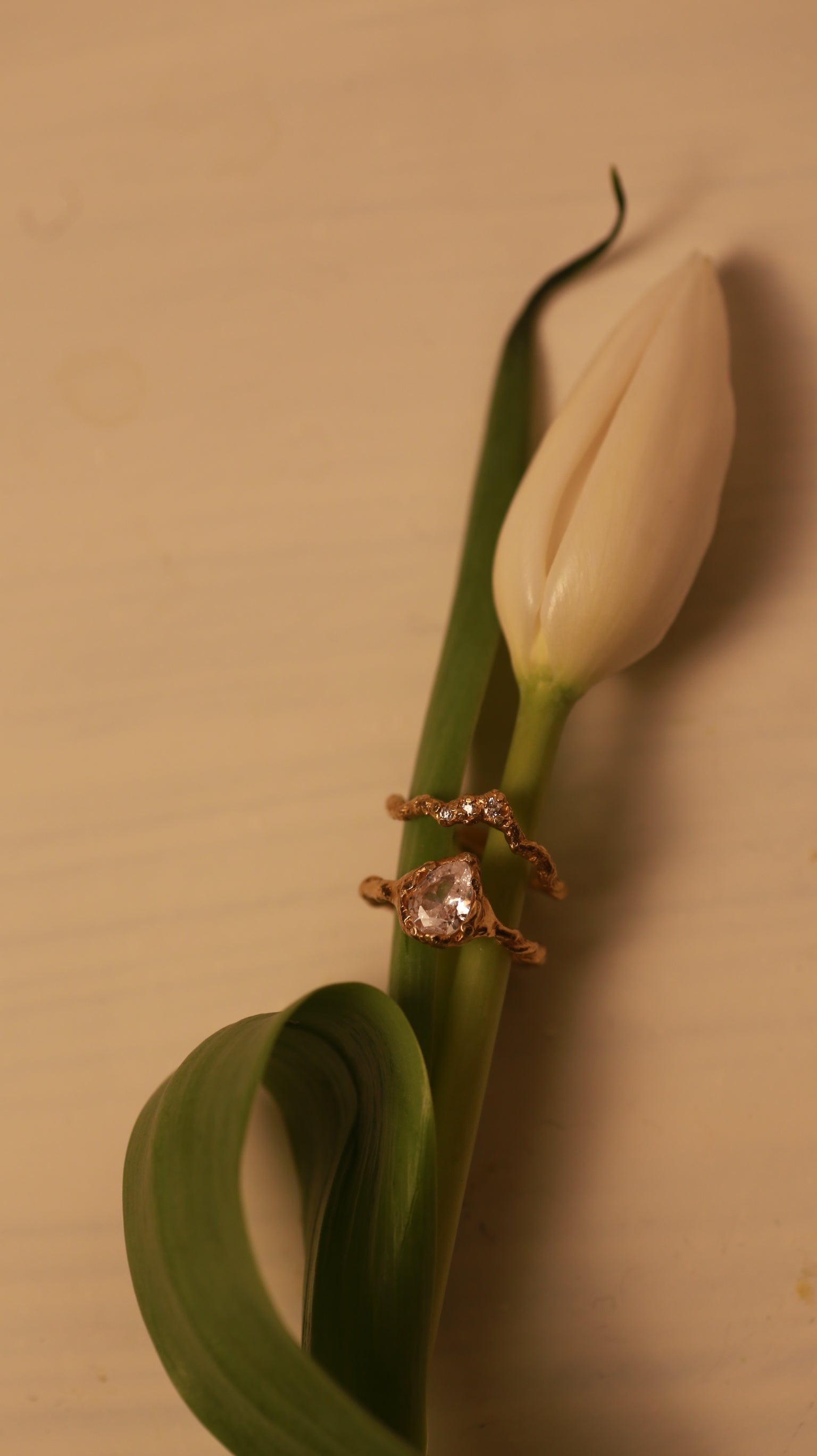 The Venus Teardrop Ring