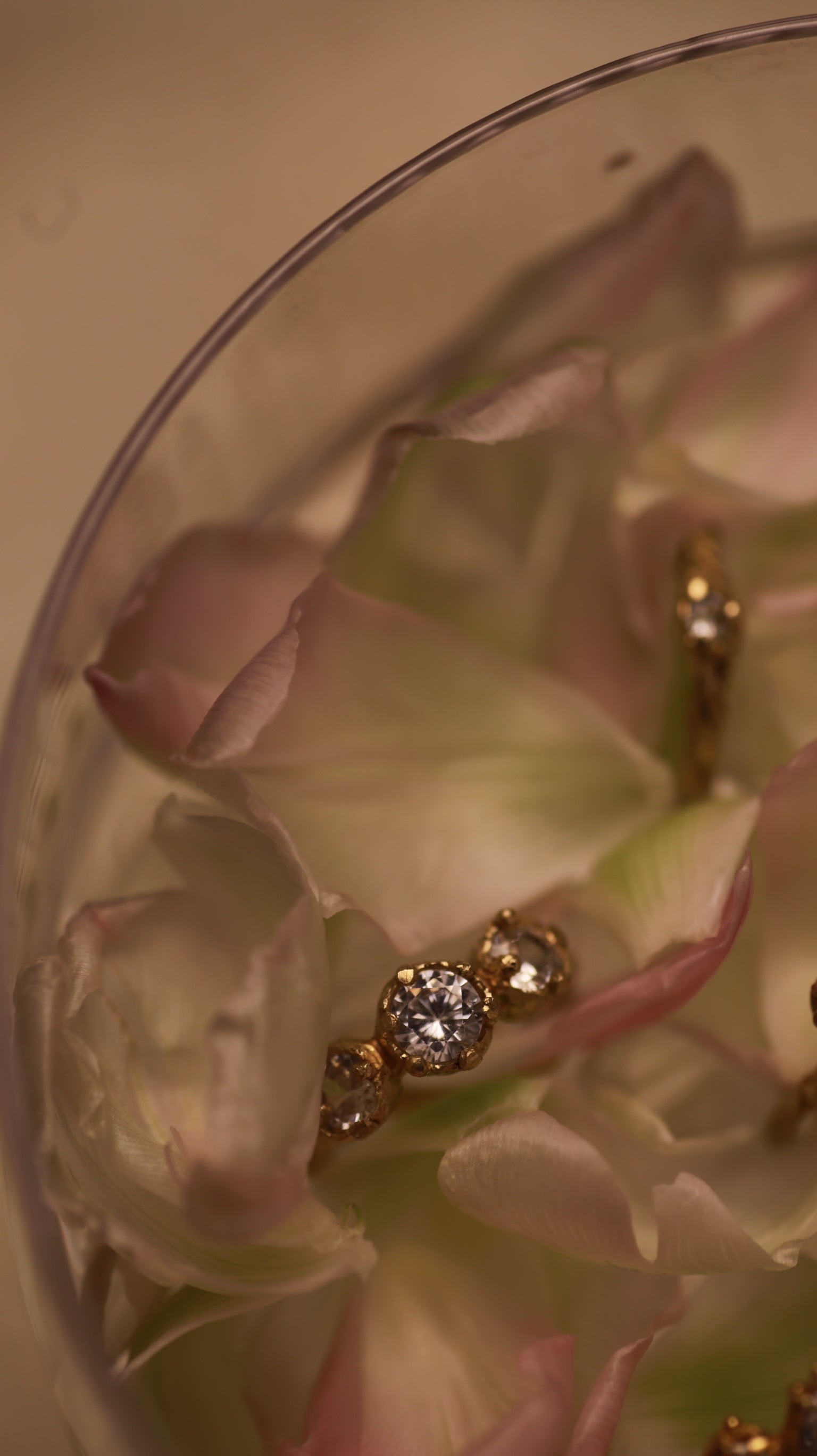 The Roman Trilogy Ring