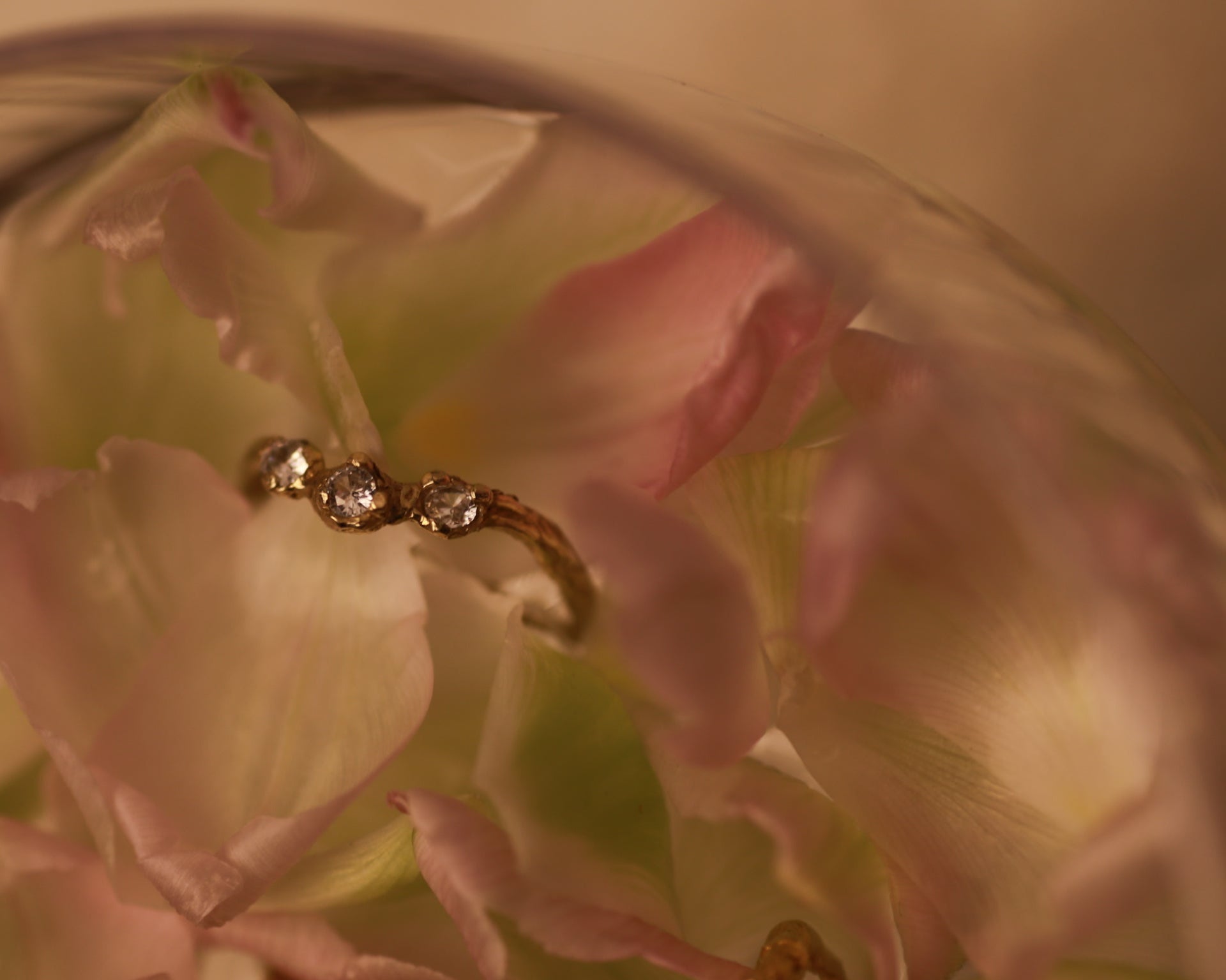 The Arc of Three Lights