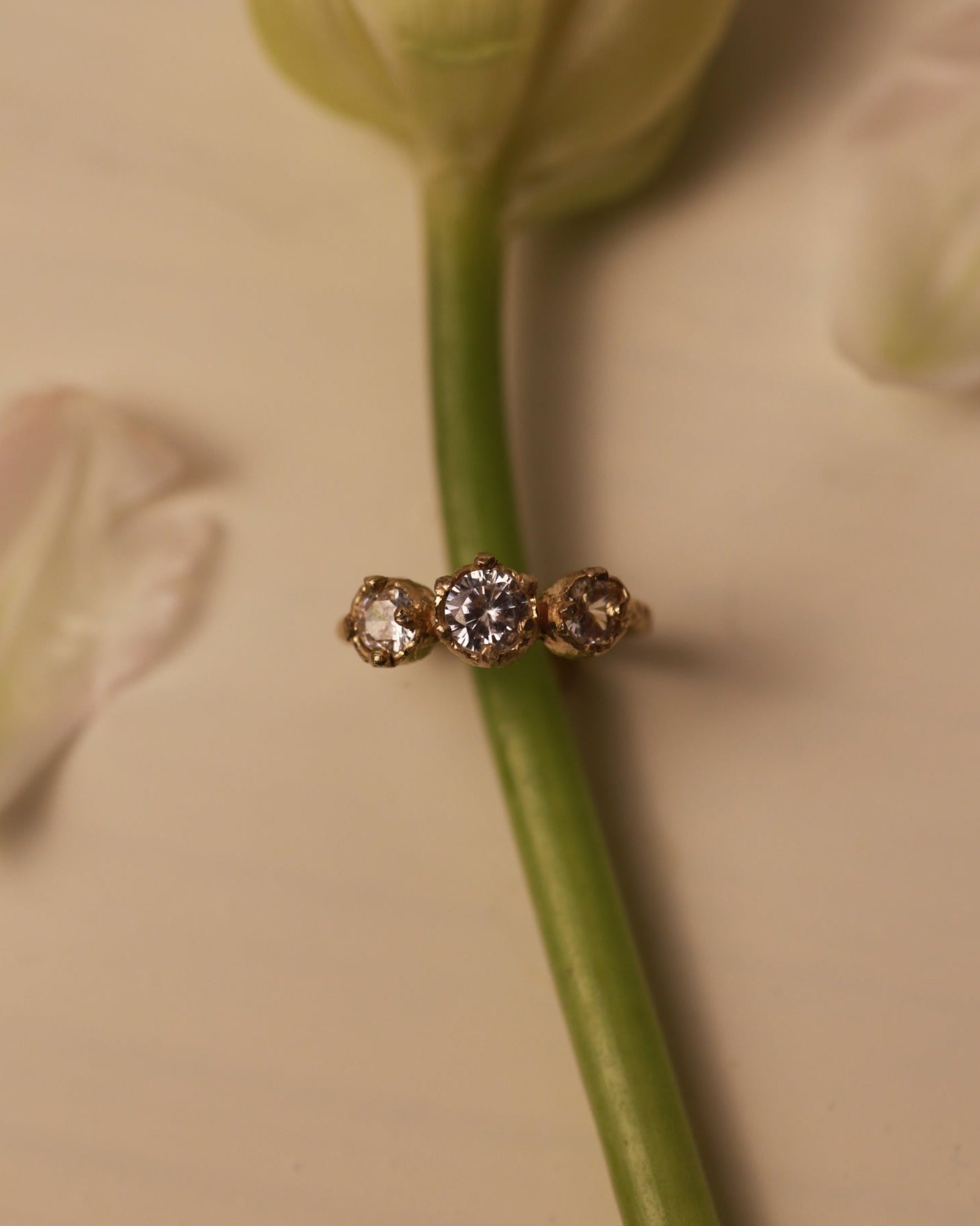 The Roman Trilogy Ring