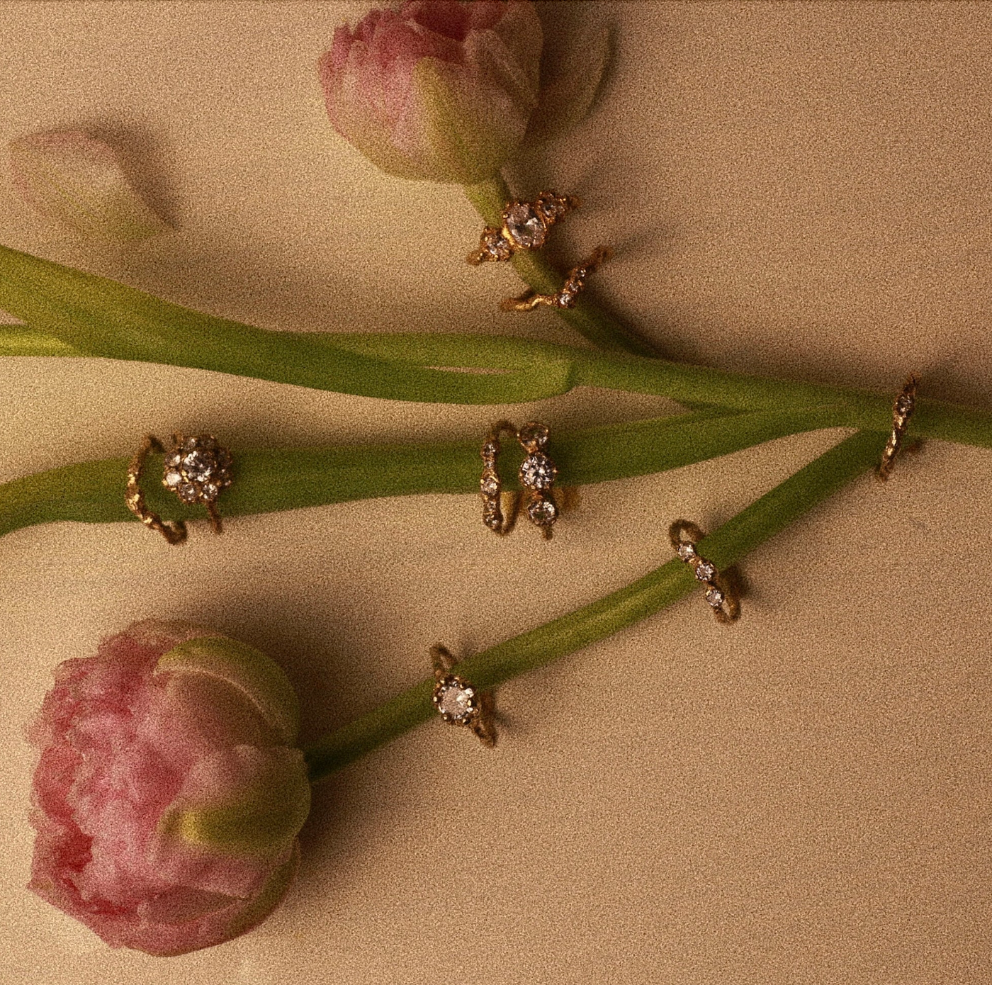 Aurea Flora