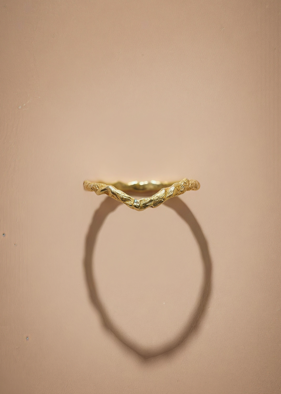 The Arc of Vows